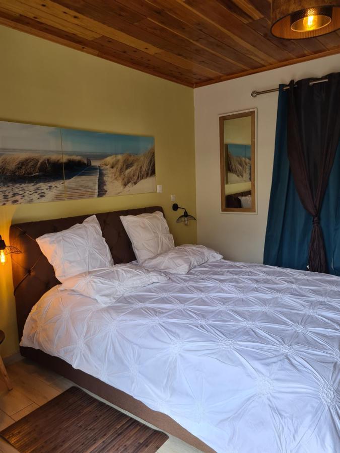 Chambres Et Tables D'Hote Du Voyageur La Plaine-des-Palmistes Dış mekan fotoğraf